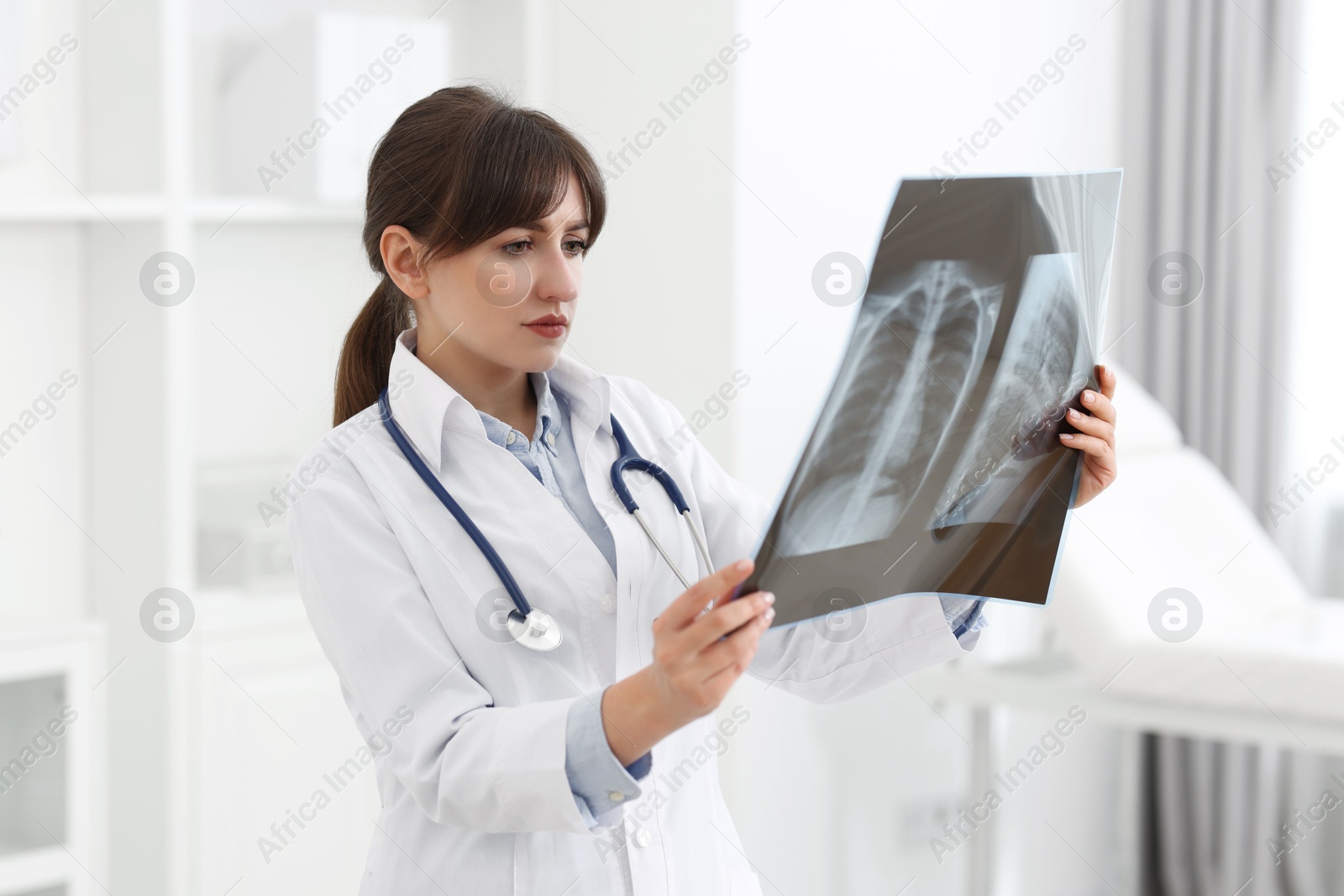 Photo of Lung disease. Doctor examining chest x-ray in clinic