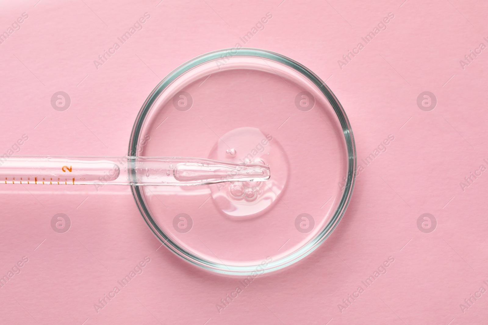 Photo of Glass pipette and petri dish with liquid on pink background, top view