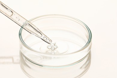 Glass pipette and petri dish with liquid on beige background, closeup