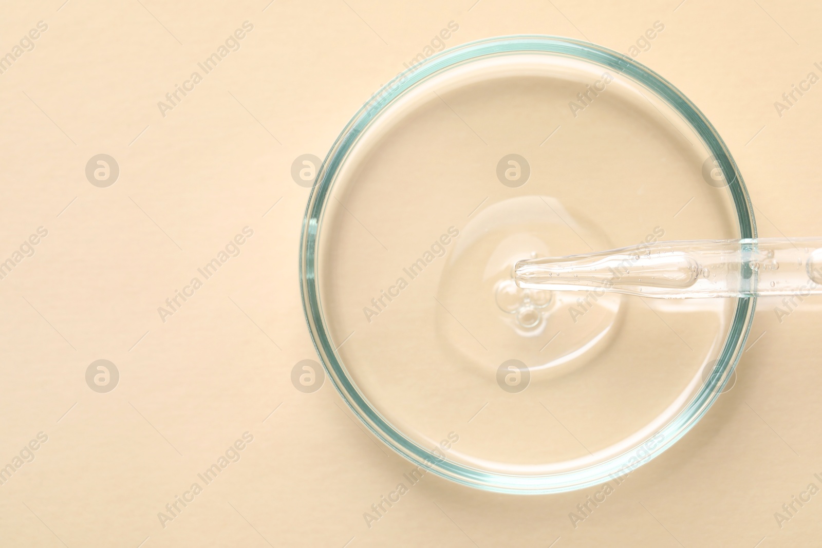 Photo of Glass pipette and petri dish with liquid on beige background, top view. Space for text