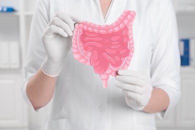 Photo of Doctor with paper intestine cutout in clinic, closeup