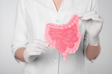 Photo of Doctor with paper intestine cutout on light grey background, closeup