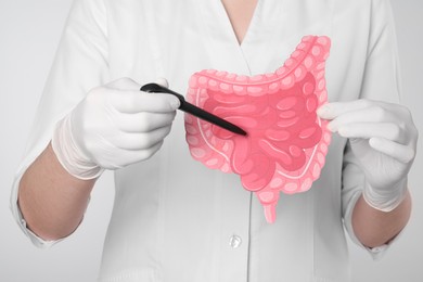 Photo of Doctor showing paper intestine cutout on light grey background, closeup
