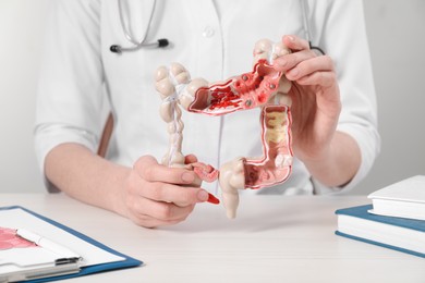 Photo of Doctor with model of large intestine at wooden table, closeup