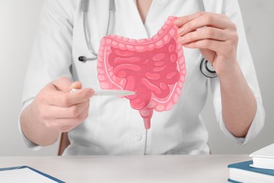 Photo of Doctor showing paper intestine cutout at wooden table, closeup