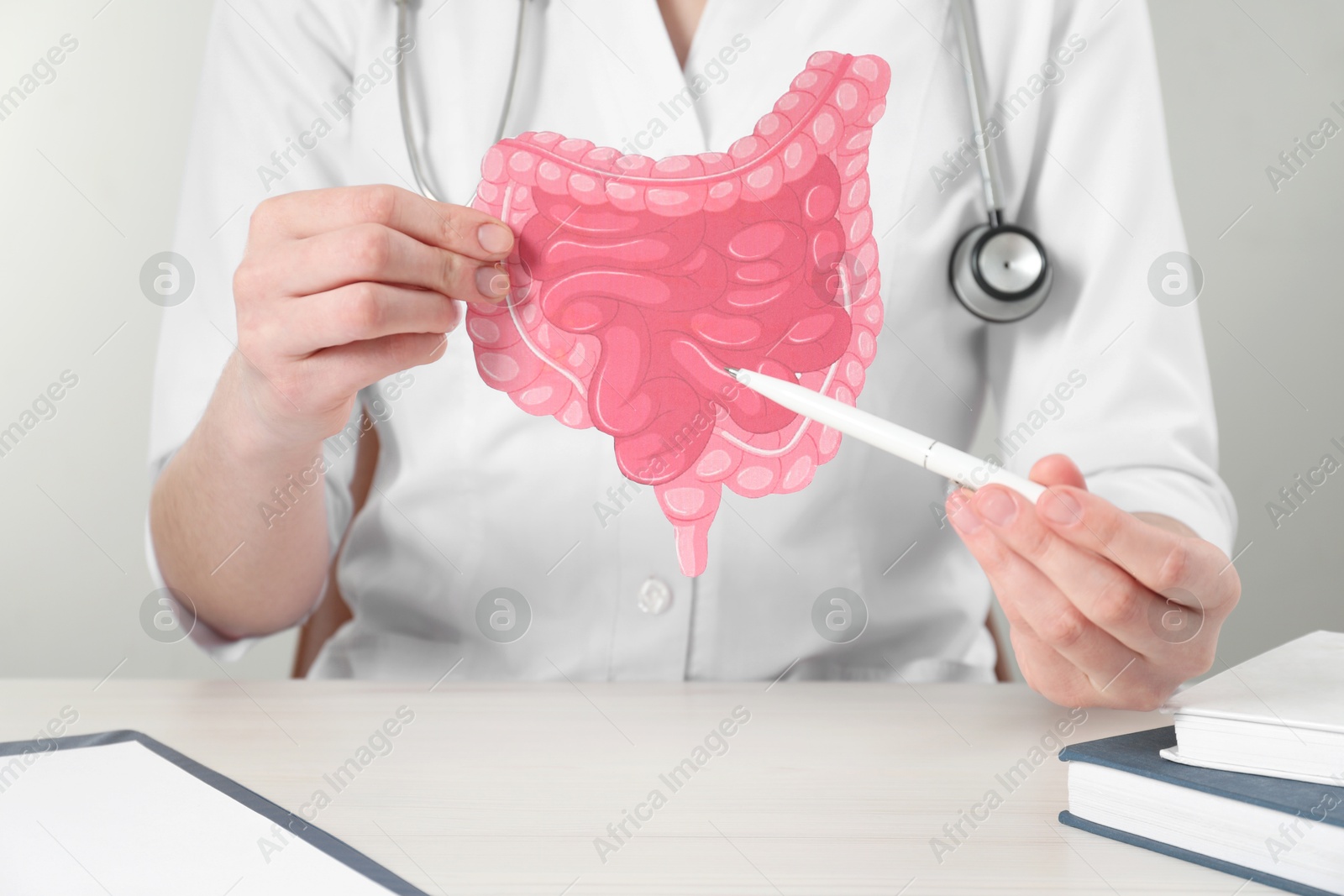 Photo of Doctor showing paper intestine cutout at wooden table, closeup