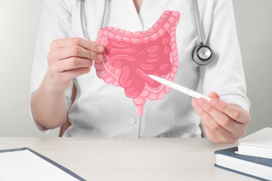 Doctor showing paper intestine cutout at wooden table, closeup