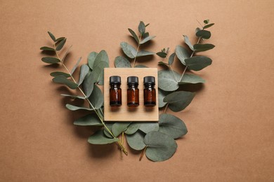 Photo of Aromatherapy. Bottles of essential oil and eucalyptus branches on brown background, flat lay