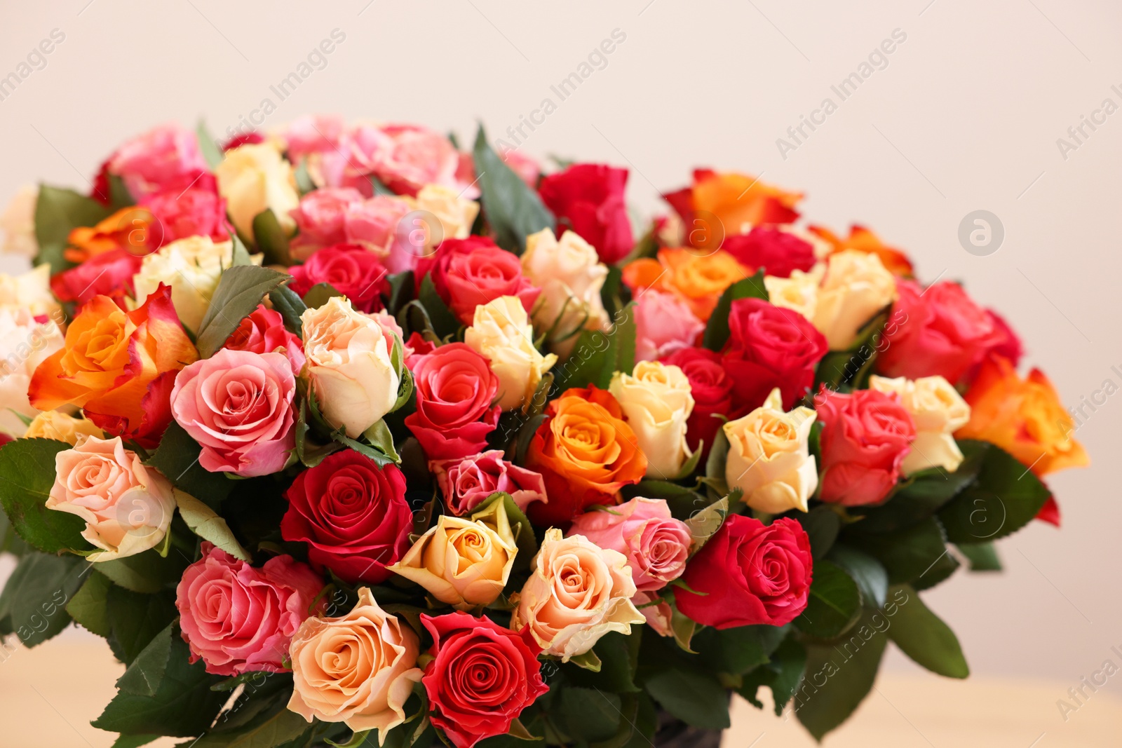 Photo of Bouquet of beautiful roses on light background