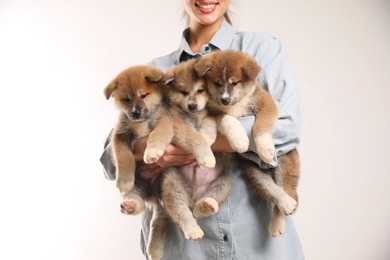 Woman holding Akita Inu puppies on light background, closeup