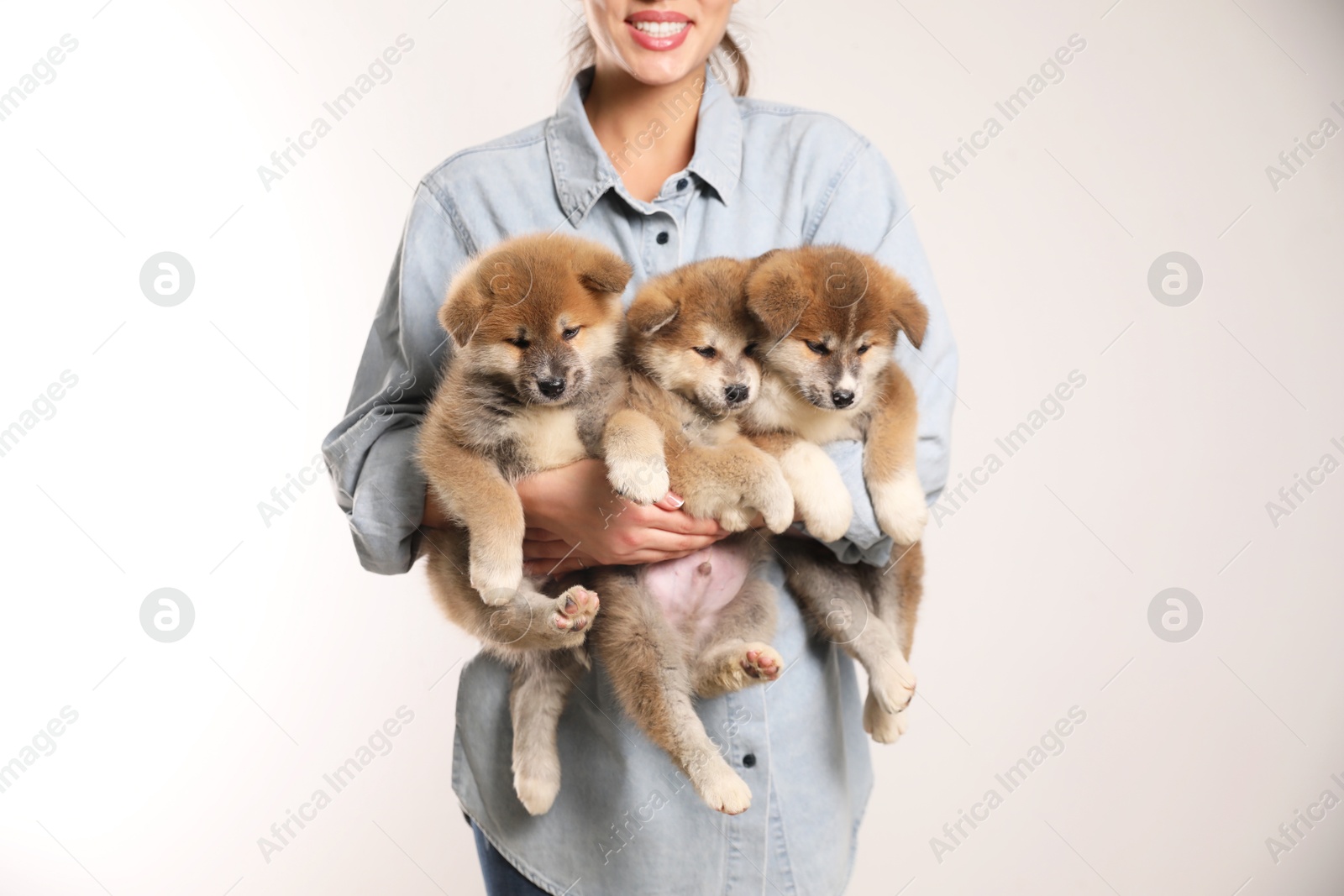 Photo of Woman holding Akita Inu puppies on light background, closeup