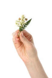 Woman holding stylish boutonniere on white background, closeup