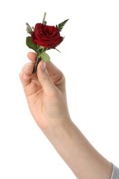 Woman holding stylish boutonniere on white background, closeup