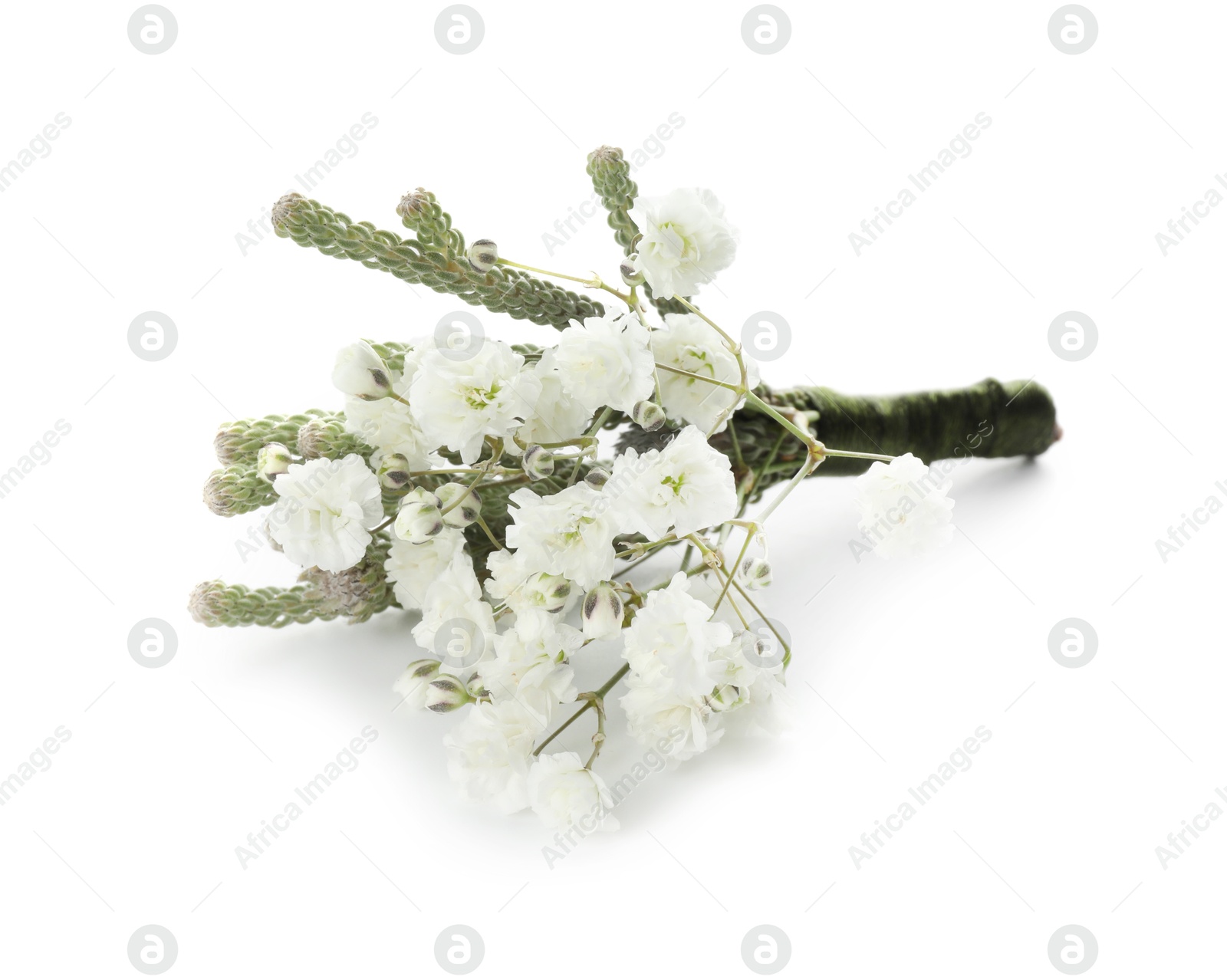 Photo of One small stylish boutonniere isolated on white