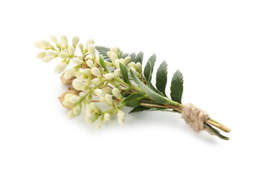 Photo of One small stylish boutonniere isolated on white