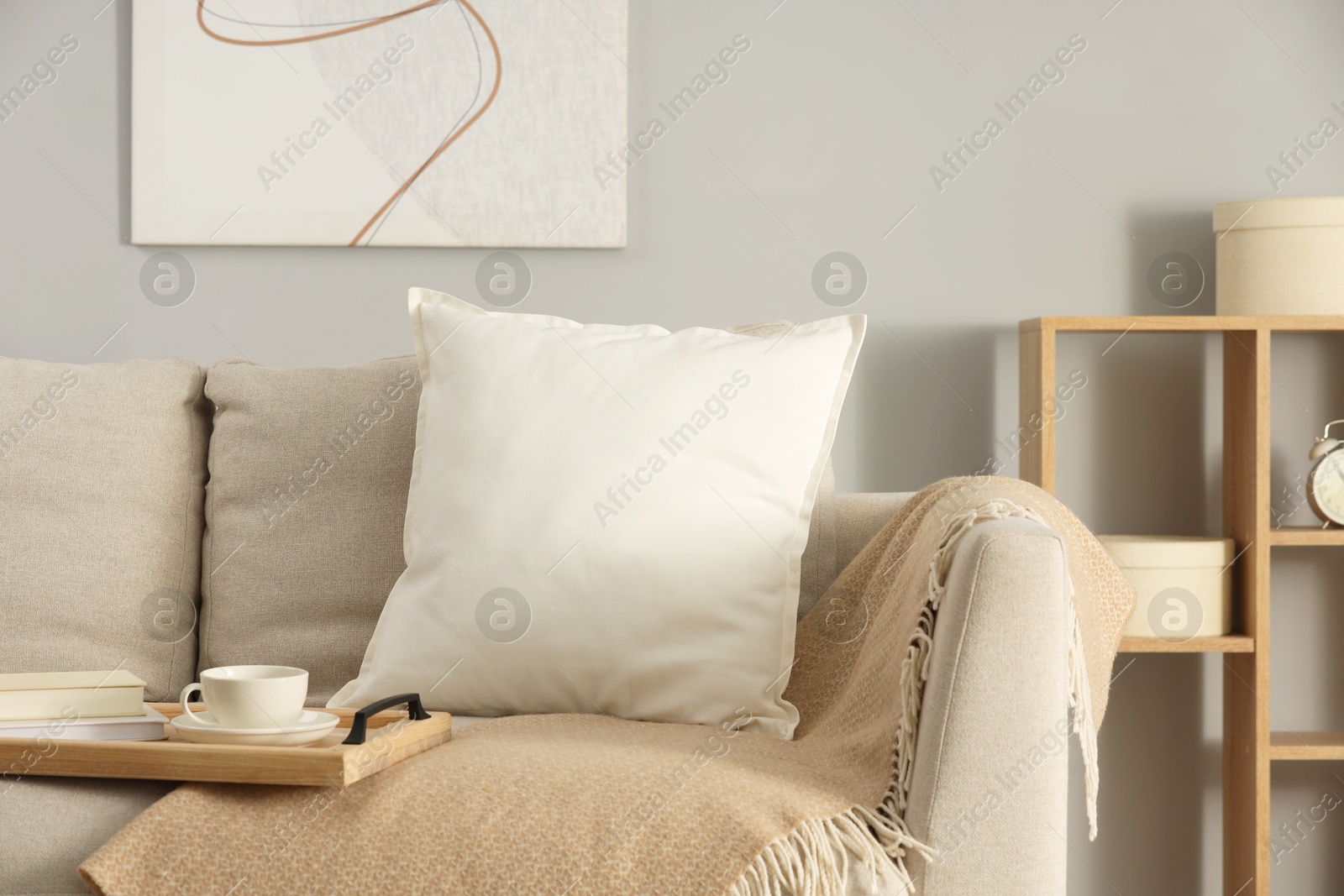 Photo of Soft white pillow, blanket and books on sofa indoors