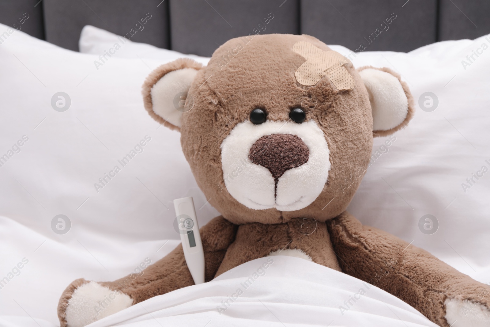 Photo of Toy cute bear with sticking plaster and thermometer under blanket in bed