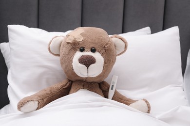 Toy cute bear with sticking plaster and thermometer under blanket in bed