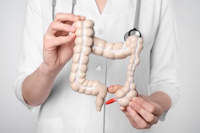 Doctor with model of large intestine on light grey background, closeup