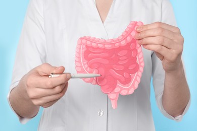 Doctor showing paper intestine cutout on light blue background, closeup