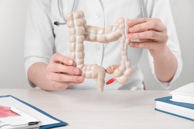 Doctor with model of large intestine at wooden table, closeup