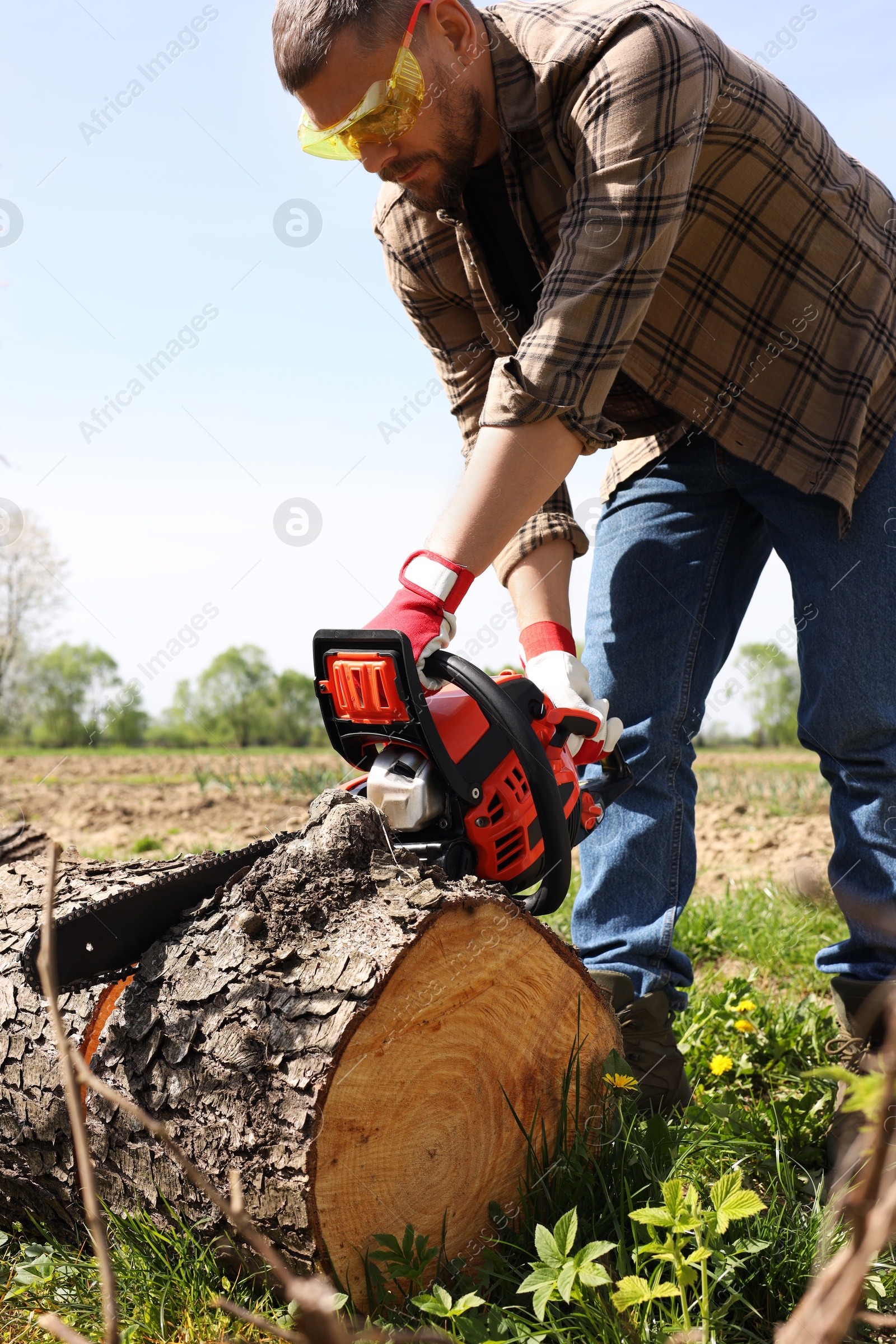 Photo of Man sawing wooden log on sunny day