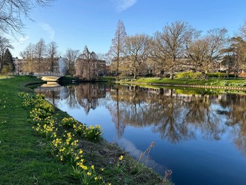 Photo of Scenic view of canal, trees and narcissus flowers under blue sky