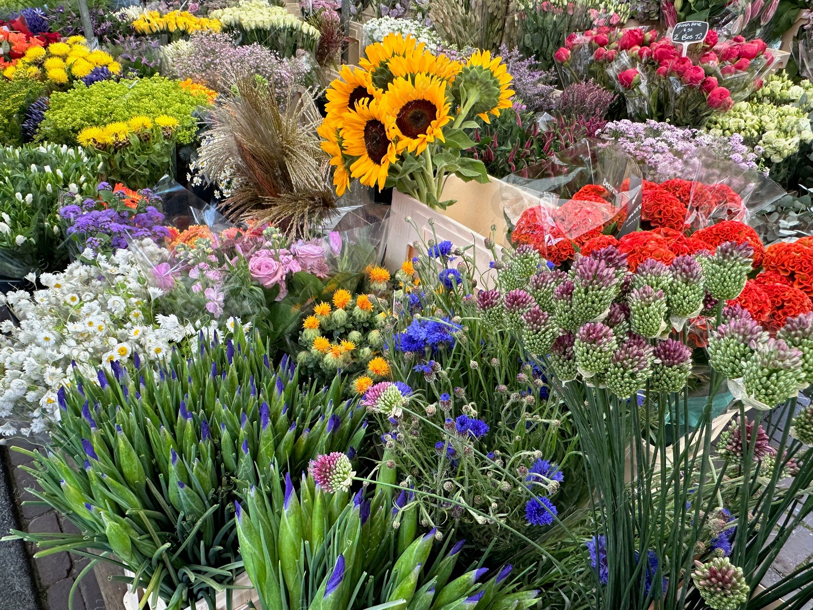 Photo of Assortment of beautiful flowers in floral shop