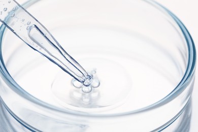 Glass pipette and petri dish with liquid on beige background, closeup