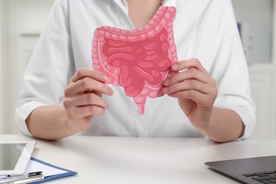 Doctor showing paper intestine cutout at white table in clinic, closeup