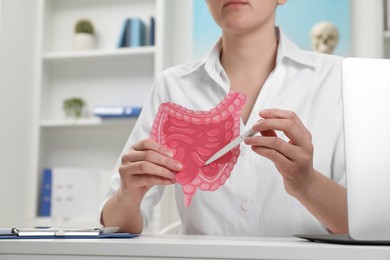 Photo of Doctor showing paper intestine cutout at white table in clinic, closeup