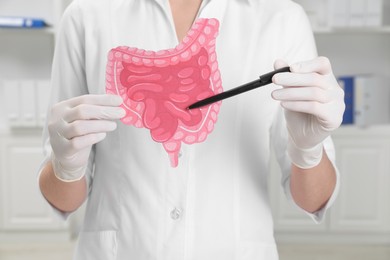 Doctor showing paper intestine cutout in clinic, closeup