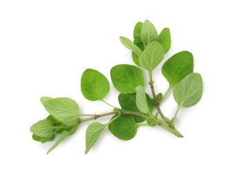 Sprig of fresh green oregano isolated on white, top view