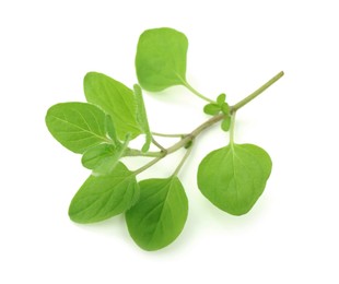 Sprig of fresh green oregano isolated on white, top view