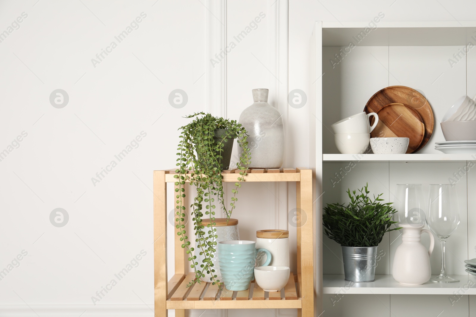 Photo of Different clean dishware and houseplants on shelves in cabinet indoors. Space for text