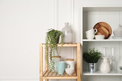 Photo of Different clean dishware and houseplants on shelves in cabinet indoors. Space for text