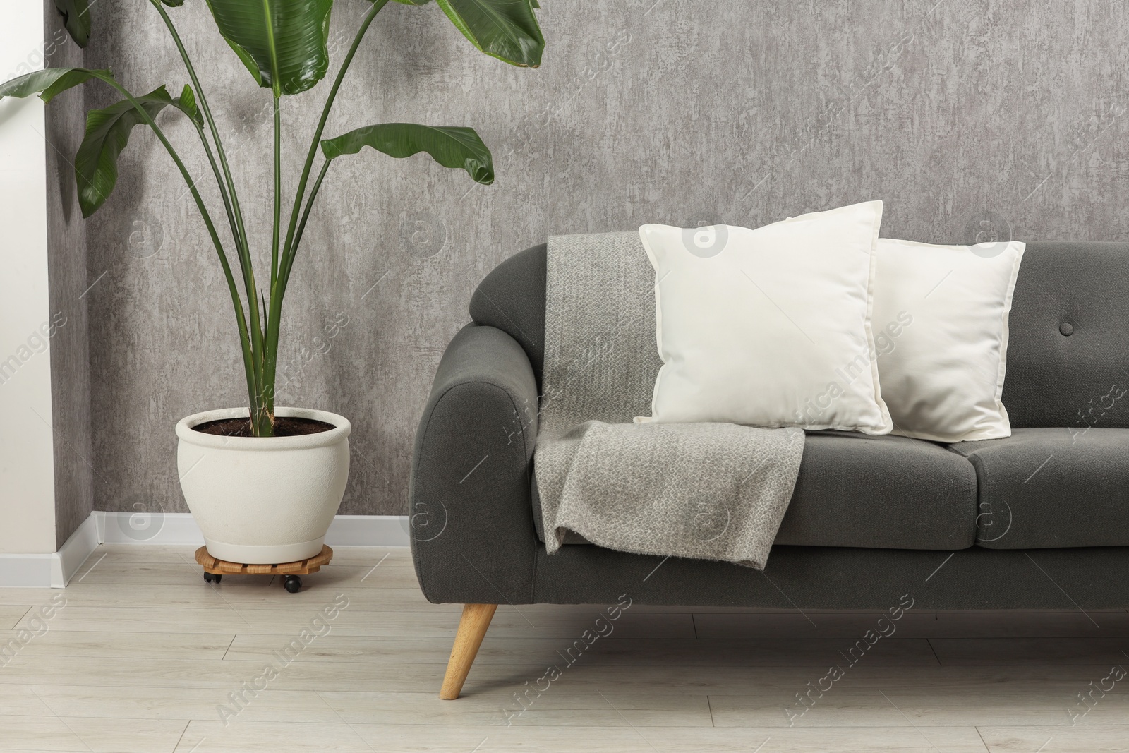 Photo of Soft white pillows and blanket on sofa indoors