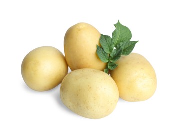 Fresh raw potatoes and green leaves isolated on white