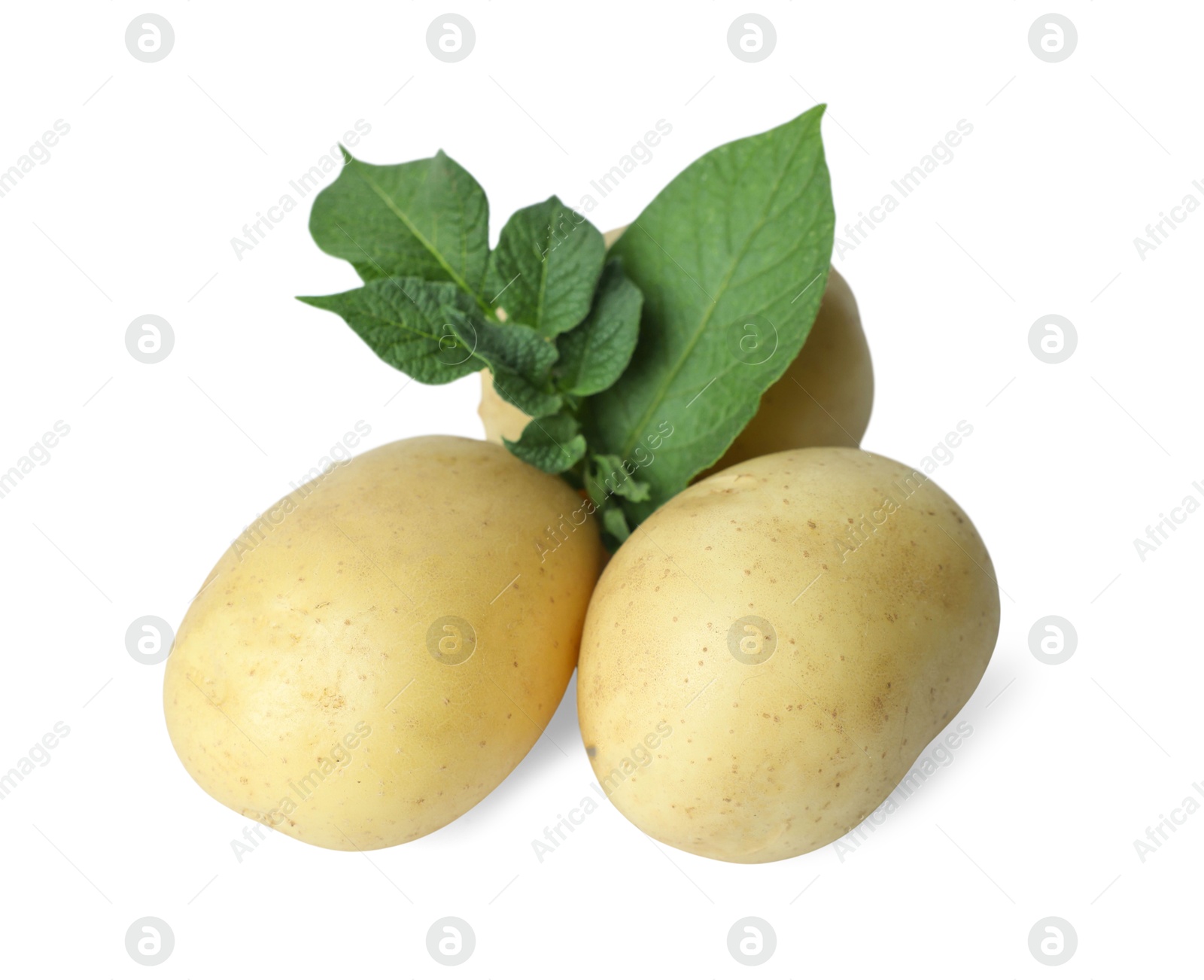 Photo of Fresh raw potatoes and green leaves isolated on white