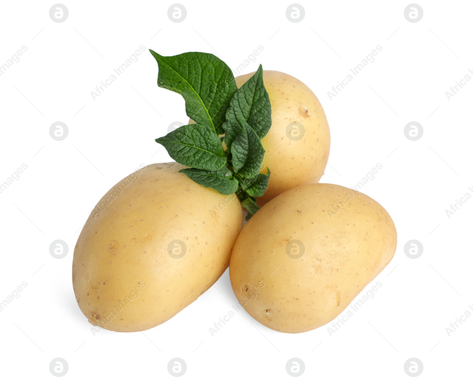 Photo of Fresh raw potatoes and green leaves isolated on white