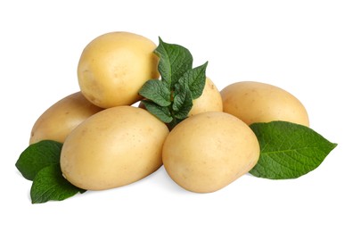 Fresh raw potatoes and green leaves isolated on white