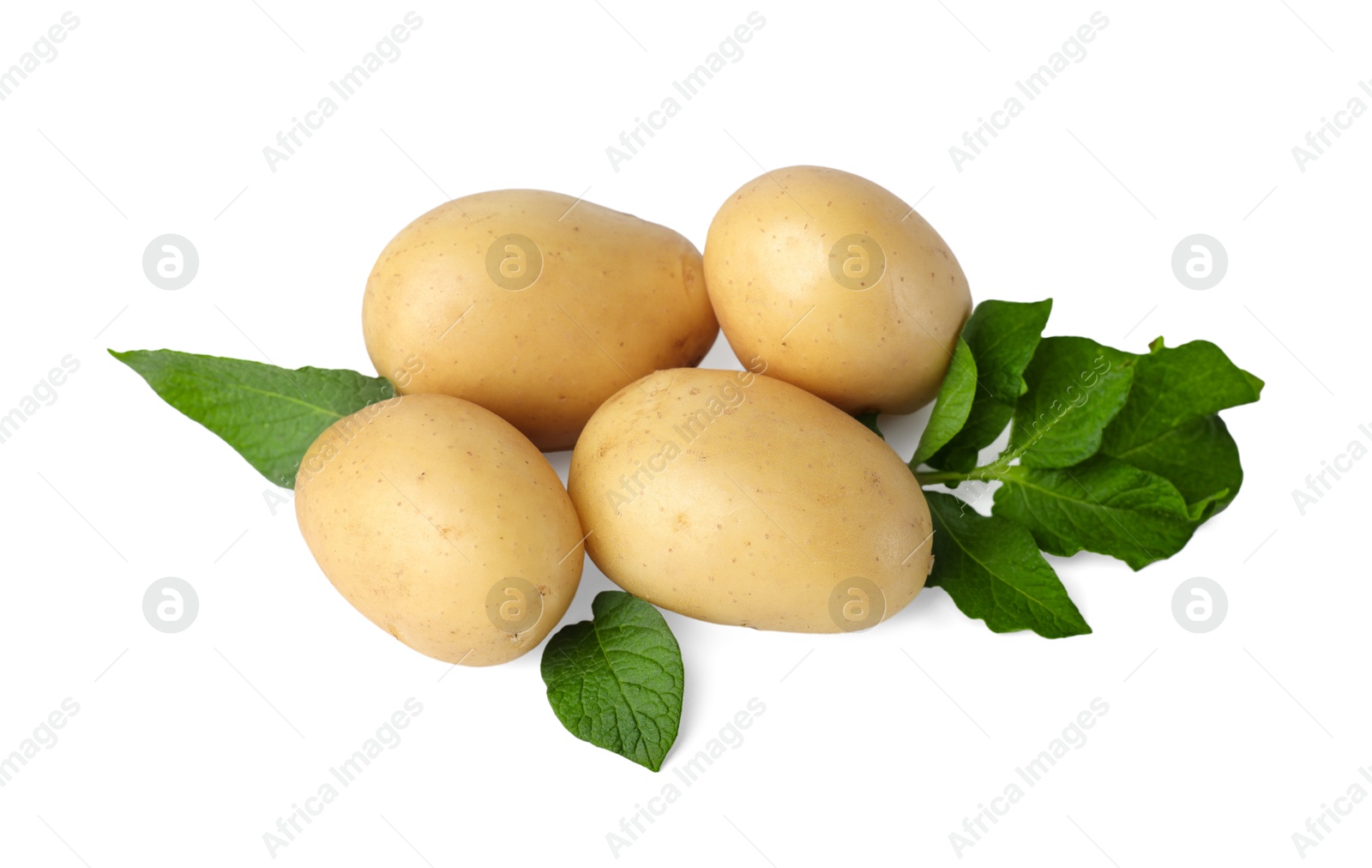 Photo of Fresh raw potatoes and green leaves isolated on white