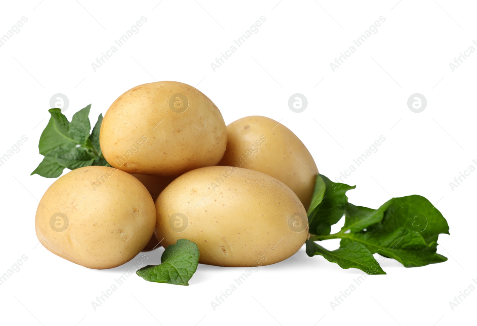 Photo of Fresh raw potatoes and green leaves isolated on white