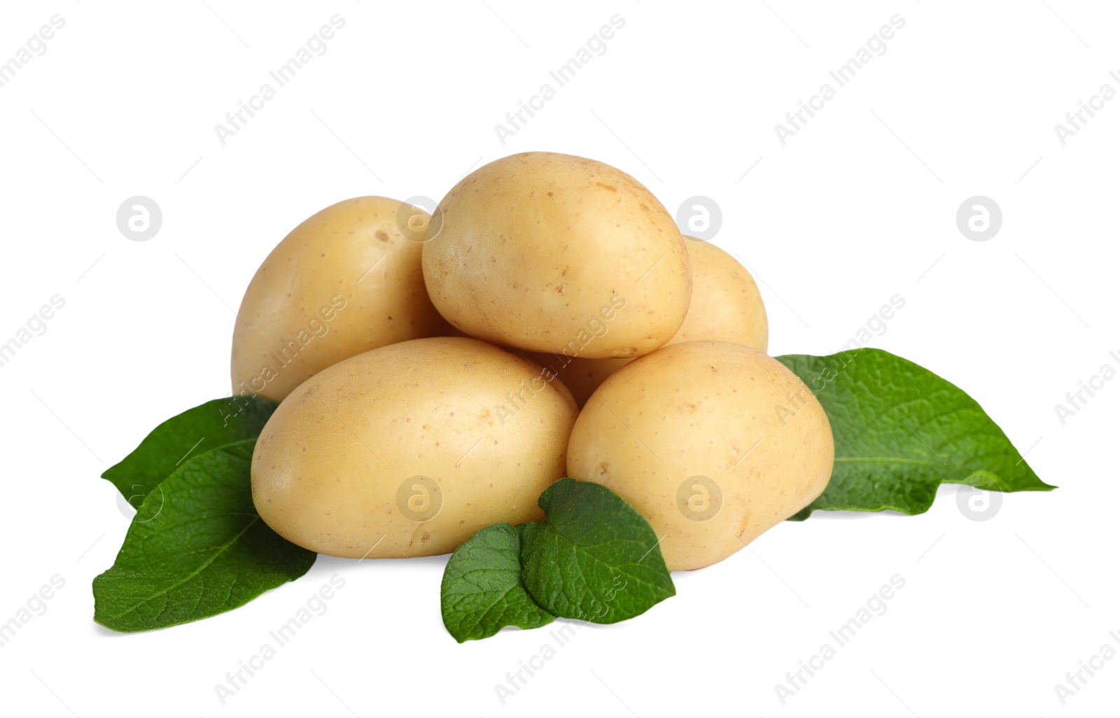 Photo of Fresh raw potatoes and green leaves isolated on white