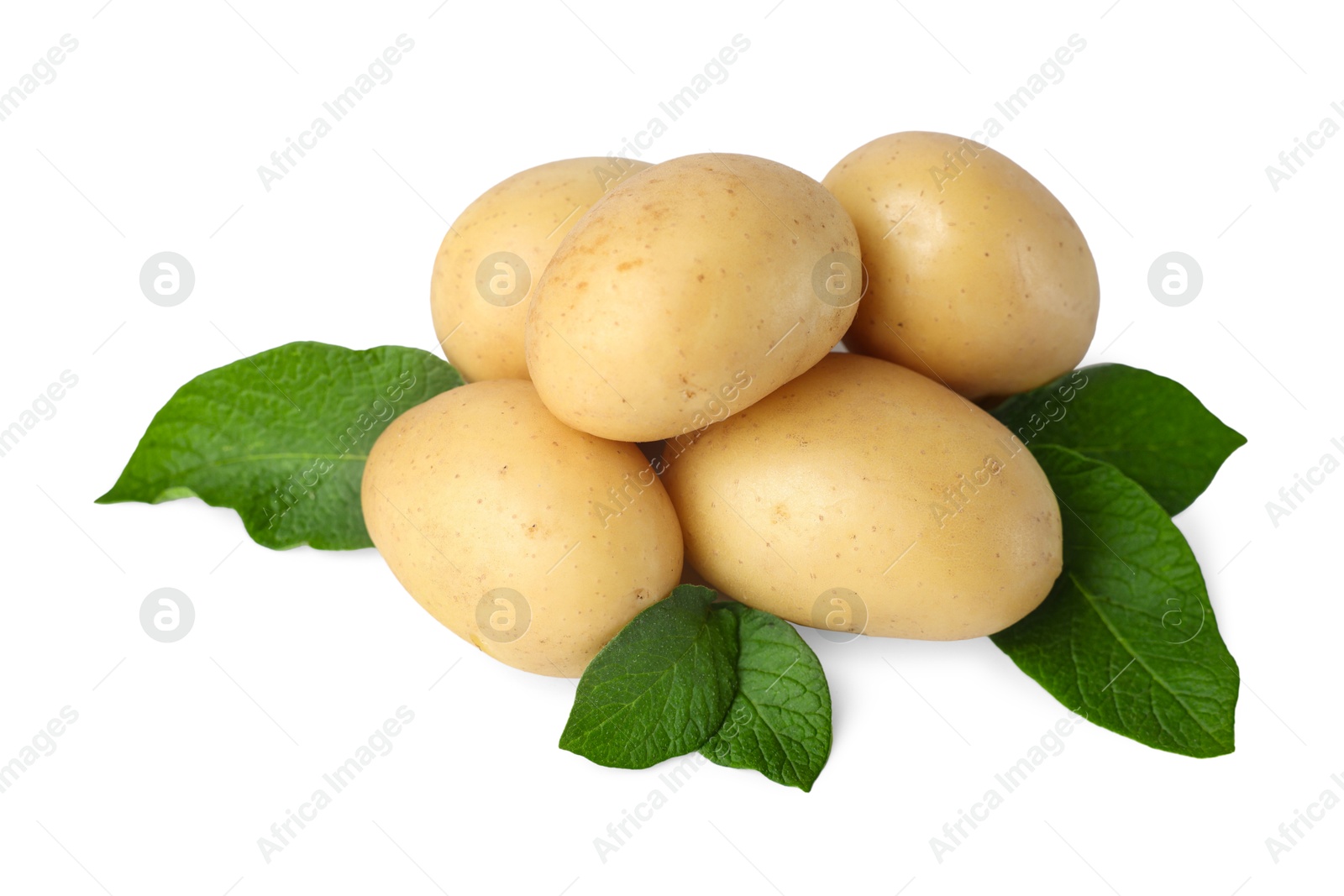 Photo of Fresh raw potatoes and green leaves isolated on white