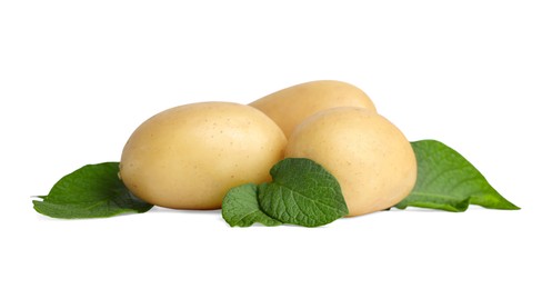 Photo of Fresh raw potatoes and green leaves isolated on white