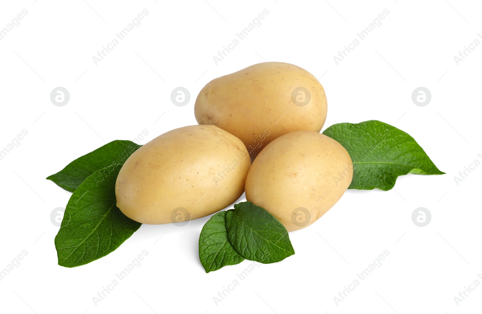 Photo of Fresh raw potatoes and green leaves isolated on white