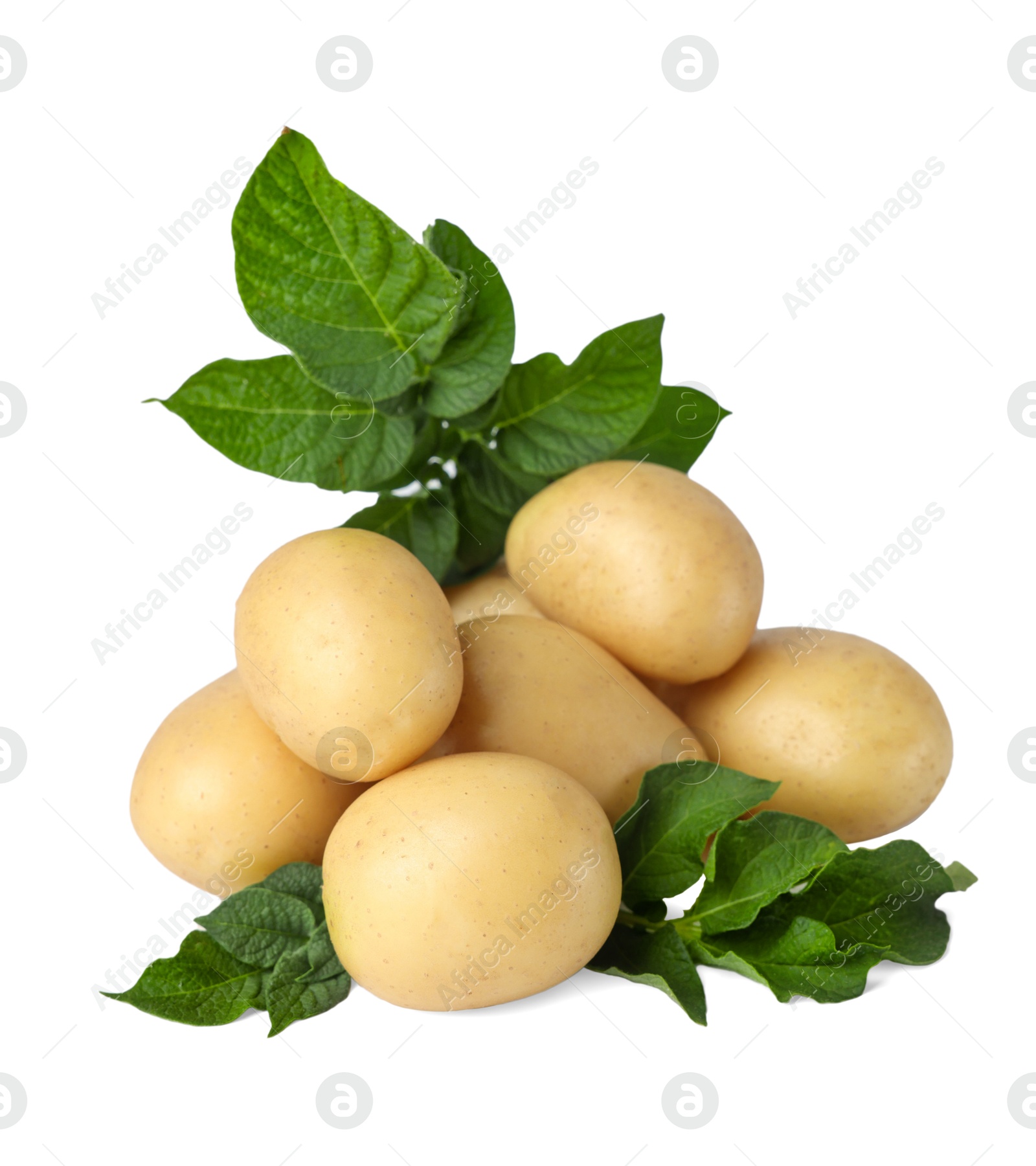 Photo of Fresh raw potatoes and green leaves isolated on white