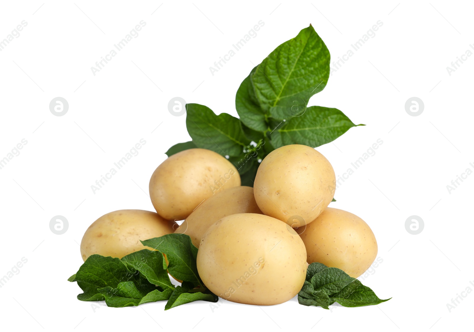 Photo of Fresh raw potatoes and green leaves isolated on white