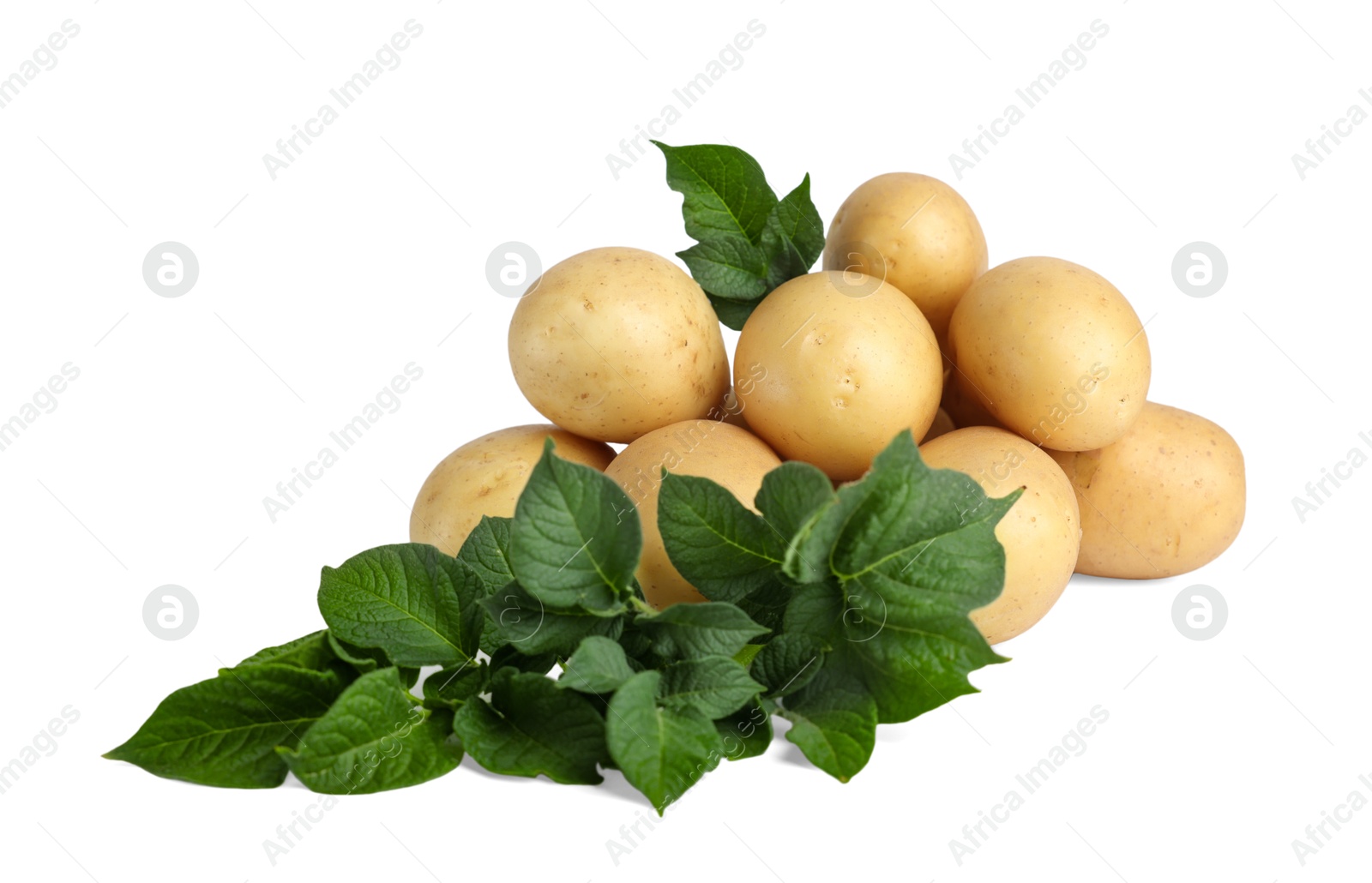 Photo of Fresh raw potatoes and green leaves isolated on white